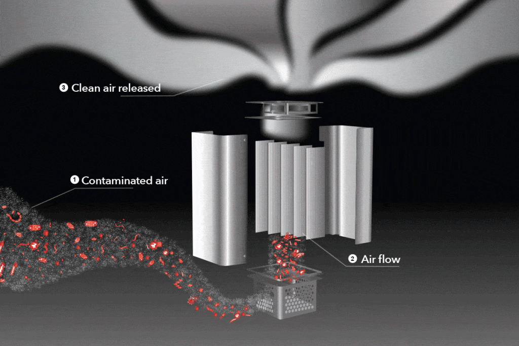 Biomoneta Research, a Bengaluru startup gets US FDA Class II approval